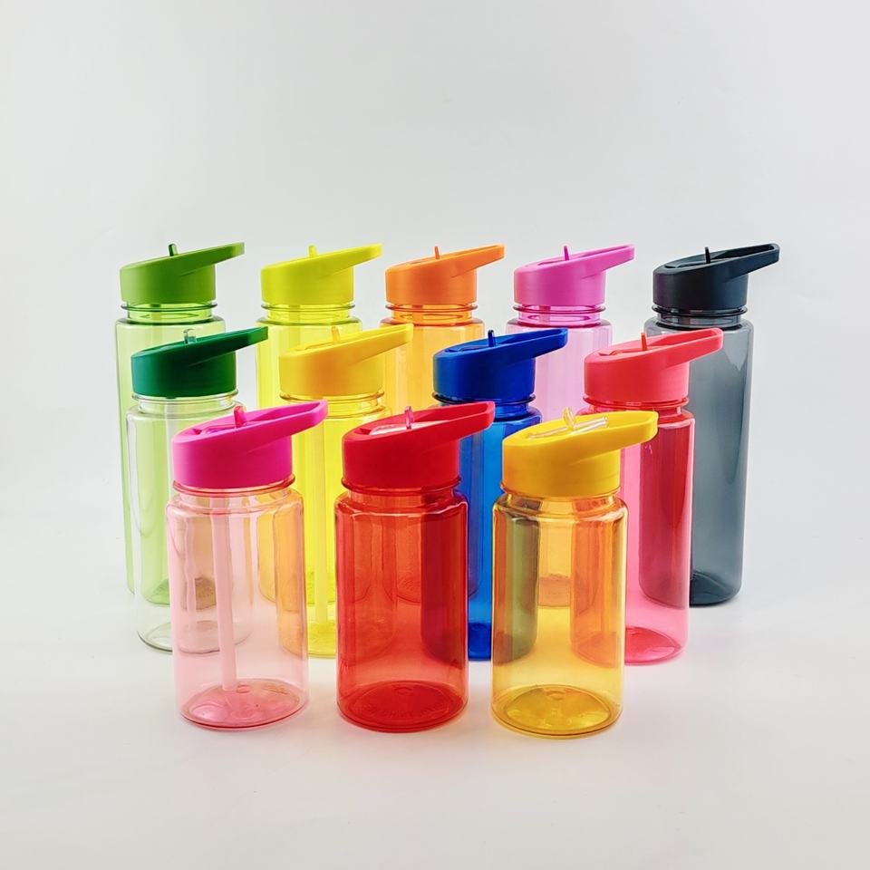 Double Wall 300ml 10oz Snow Globe Plastic Water Bottle